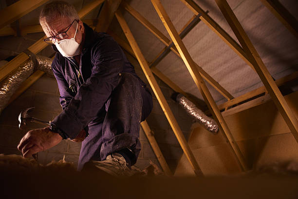 Insulation Repair Services in Broadmoor, CA